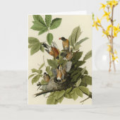 Amerikaanse Robin van Audubon's Birds of America Kaart (Gele Bloem)