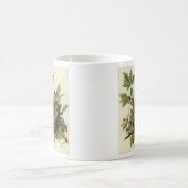 Amerikaanse Robin van Audubon's Birds of America Koffiemok (Center)