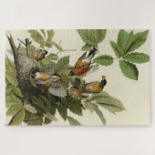 Amerikaanse Robin van Audubon's Birds of America Legpuzzel (Horizontaal)