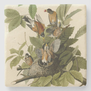 Amerikaanse Robin van Audubon's Birds of America Stenen Onderzetter