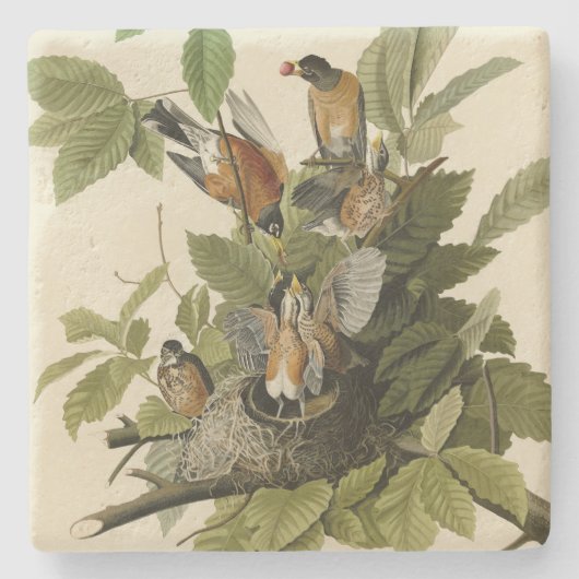 Amerikaanse Robin van Audubon's Birds of America Stenen Onderzetter (Voorkant)