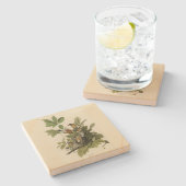 Amerikaanse Robin van Audubon's Birds of America Stenen Onderzetter (Zijkant)