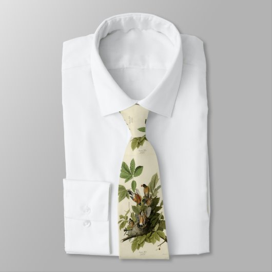 Amerikaanse Robin van Audubon's Birds of America Stropdas (Gebonden)