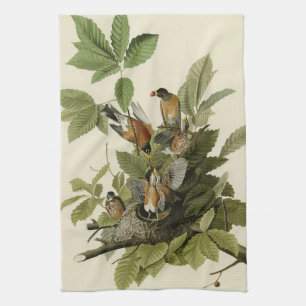 Amerikaanse Robin van Audubon's Birds of America Theedoek