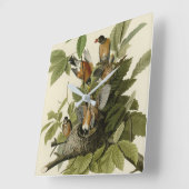 Amerikaanse Robin van Audubon's Birds of America Vierkante Klok (Hoek)