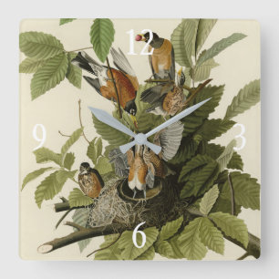 Amerikaanse Robin van Audubon's Birds of America Vierkante Klok