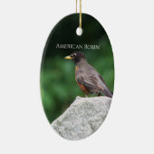 Amerikaanse Robin Vogel Foto Ornament (Rechts)