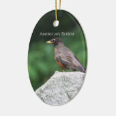 Amerikaanse Robin Vogel Foto Ornament (Links)