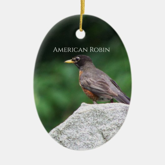 Amerikaanse Robin Vogel Foto Ornament (Voorkant)