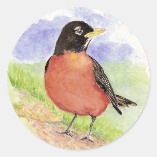 Amerikaanse Robin, Vogel, Natuur, Wildlife, Ronde Sticker (Voorkant)