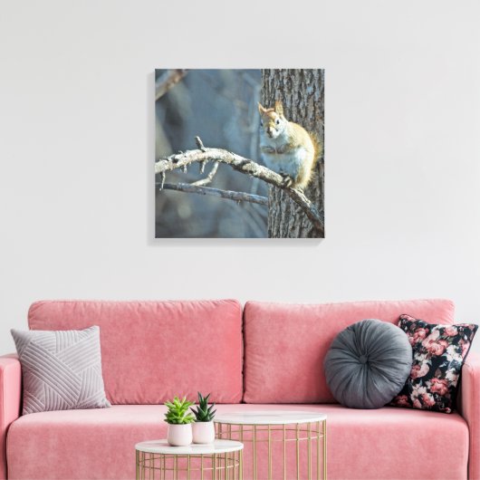 Amerikaanse Rode Eekhoorn - Wildlife Fotografie Canvas Afdruk (Insitu (Woonkamer))