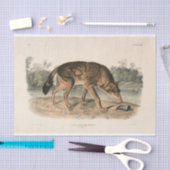 Amerikaanse rode texaan Wolf (Canis lupus) ontkopp Tissuepapier (Craft)