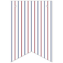 Amerikaanse Rood en Blauw Pinstripe Bunting Vlag