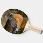 Amerikaanse Roodborst badend 2 Tafeltennisbatje (Zijkant)