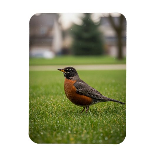 Amerikaanse Roodborst Magneet (Verticaal)
