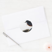 Amerikaanse roodborstje bouwen een nest ronde sticker (Envelop)