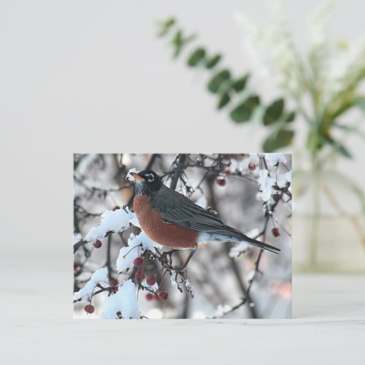 Amerikaanse roodborstje briefkaart (Staand voorkant)