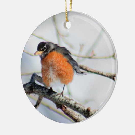 Amerikaanse rooffoto keramisch ornament (Links)