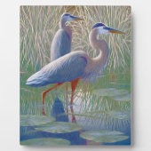 amerikaanse roofhond fotoplaat (Voorkant)