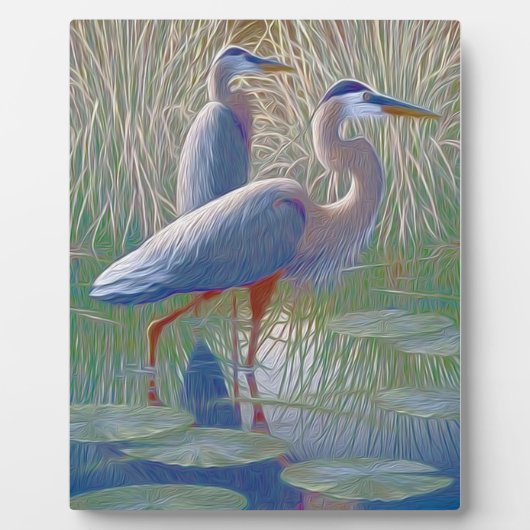 amerikaanse roofhond fotoplaat (Voorkant)