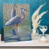 amerikaanse roofhond fotoplaat (Zijkant)