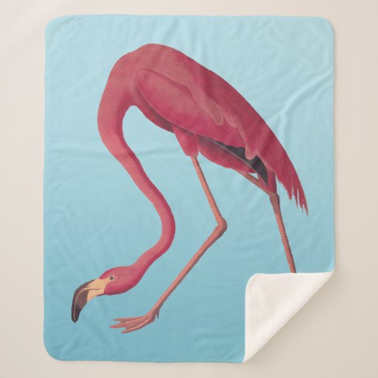 Amerikaanse roze flamingo  Art Fleece Blanket Sherpa Deken (Voorkant)