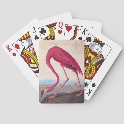 Amerikaanse roze flamingo Audubon  Bird Art Pokerkaarten (Achterkant)