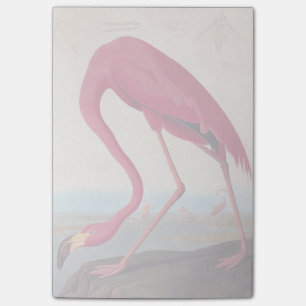 -Amerikaanse roze flamingo Audubon Bookplaat Post-it® Notes