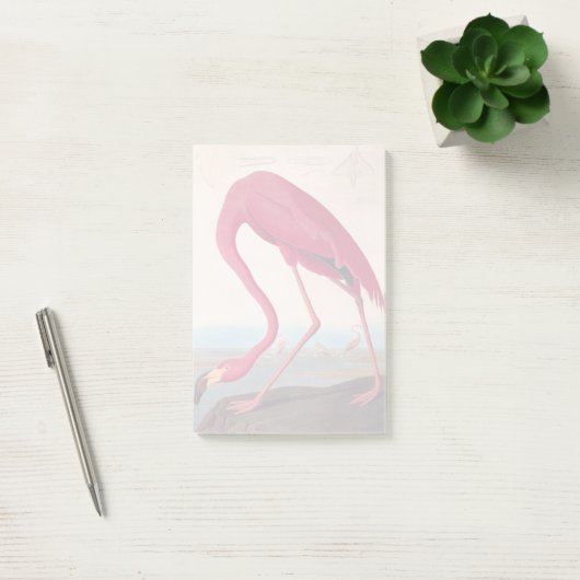  Amerikaanse roze flamingo Audubon Bookplate Post-it® Notes (Kantoor)