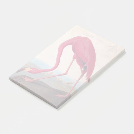  Amerikaanse roze flamingo Audubon Bookplate Post-it® Notes (Schuin)