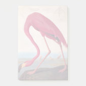  Amerikaanse roze flamingo Audubon Bookplate Post-it® Notes (Voorkant)