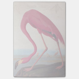 Amerikaanse roze flamingo Audubon Bookplate Post-it® Notes