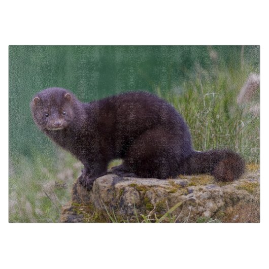 Amerikaanse roze rechthoekige snijplaat snijplank (Voorkant)