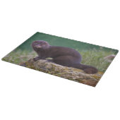 Amerikaanse roze rechthoekige snijplaat snijplank (Hoek)