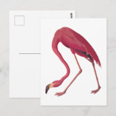 Amerikaanse roze Vintage kunst Briefkaart (Voorkant / Achterkant)