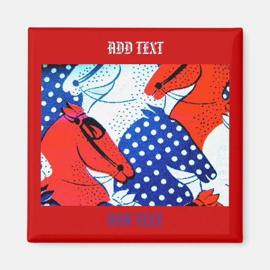 Amerikaanse ruitermagneet magneet (Voorkant)