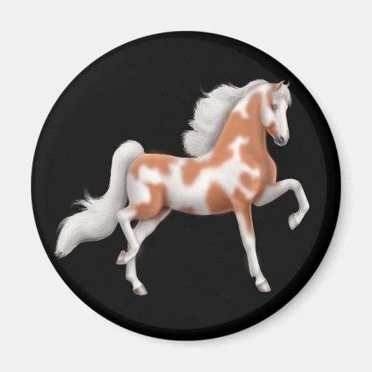 Amerikaanse Saddlebred Pinto Horse Magnet (Voorkant)