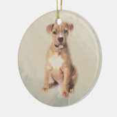 Amerikaanse schitterende schilder keramisch ornament (Links)