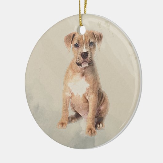 Amerikaanse schitterende schilder keramisch ornament (Links)