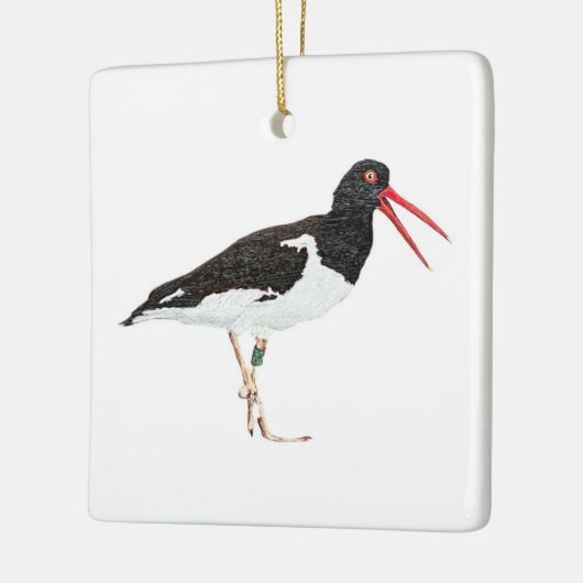 Amerikaanse Scholekster Keramisch Ornament (Links)