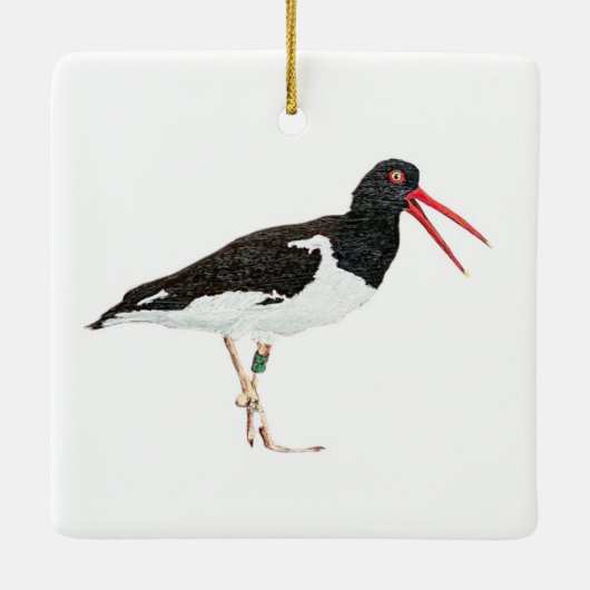 Amerikaanse Scholekster Keramisch Ornament (Achterkant)