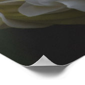 Amerikaanse schoonheid, Floral Yellow Plumeria Poster (Hoek)