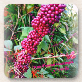 Amerikaanse schoonheidsbes in Bok Tower Gardens Fl Bier Onderzetter (Voorkant)