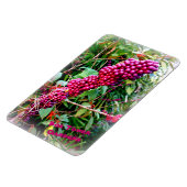 Amerikaanse schoonheidsbes in Bok Tower Gardens Fl Magneet (Linkerzijde)