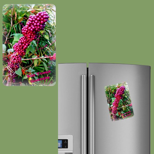 Amerikaanse schoonheidsbes in Bok Tower Gardens Fl Magneet