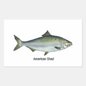 Amerikaanse shad rechthoekige sticker (Voorkant)