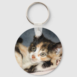 Amerikaanse Shorthair Calico Shelter Kitten Sleute Sleutelhanger