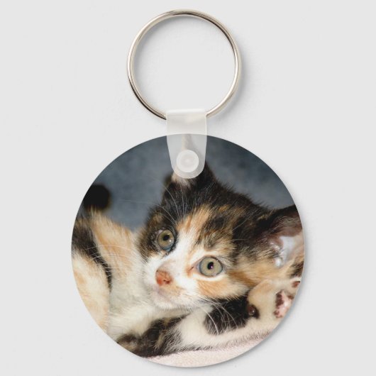 Amerikaanse Shorthair Calico Shelter Kitten Sleute Sleutelhanger (Voorkant)