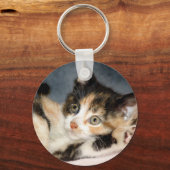 Amerikaanse Shorthair Calico Shelter Kitten Sleute Sleutelhanger (Voorkant)