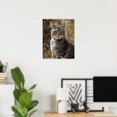 Amerikaanse Shorthair Cat Art Print Poster (Thuiskantoor)